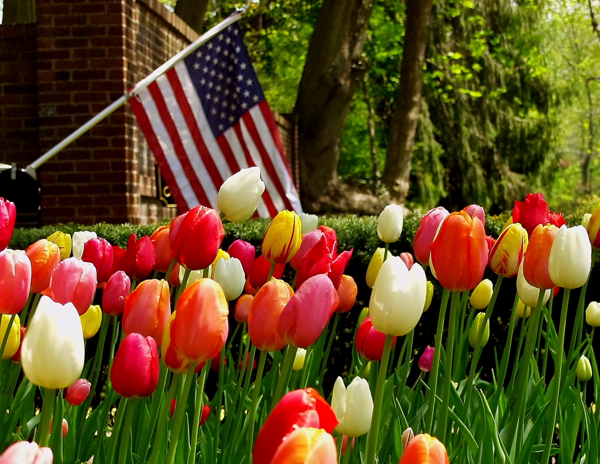 American spring